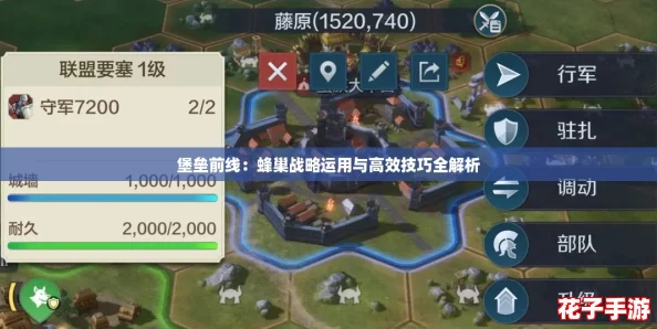 堡垒前线：蜂巢战略运用与高效技巧全解析