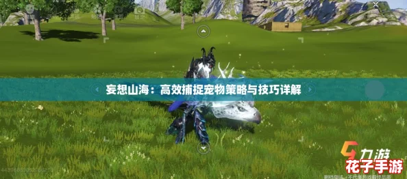 妄想山海：高效捕捉宠物策略与技巧详解