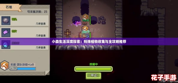 小森生活深度探索：特殊植物收集与全攻略推荐