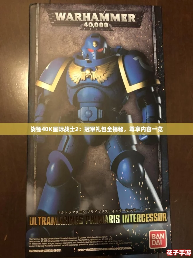 战锤40K星际战士2：冠军礼包全揭秘，尊享内容一览