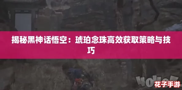 揭秘黑神话悟空：琥珀念珠高效获取策略与技巧