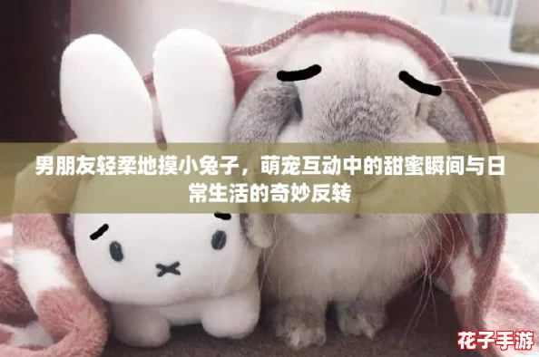 男朋友轻柔地摸小兔子，萌宠互动中的甜蜜瞬间与日常生活的奇妙反转