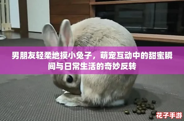 男朋友轻柔地摸小兔子，萌宠互动中的甜蜜瞬间与日常生活的奇妙反转
