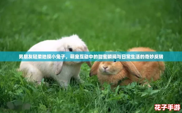 男朋友轻柔地摸小兔子，萌宠互动中的甜蜜瞬间与日常生活的奇妙反转