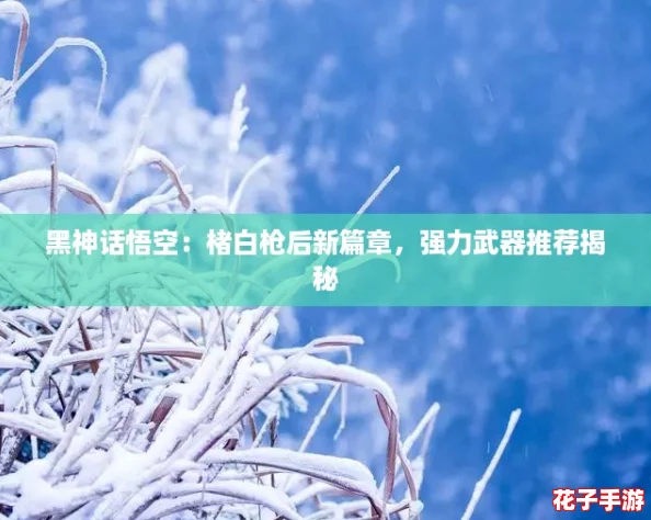 黑神话悟空：楮白枪后新篇章，强力武器推荐揭秘
