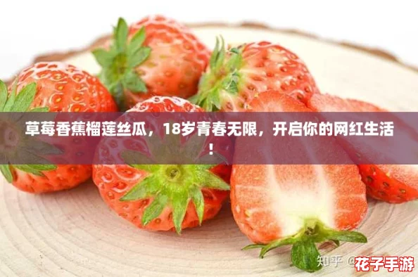 草莓香蕉榴莲丝瓜，18岁青春无限，开启你的网红生活！