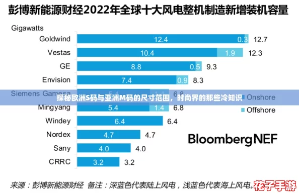 探秘欧洲S码与亚洲M码的尺寸范围，时尚界的那些冷知识