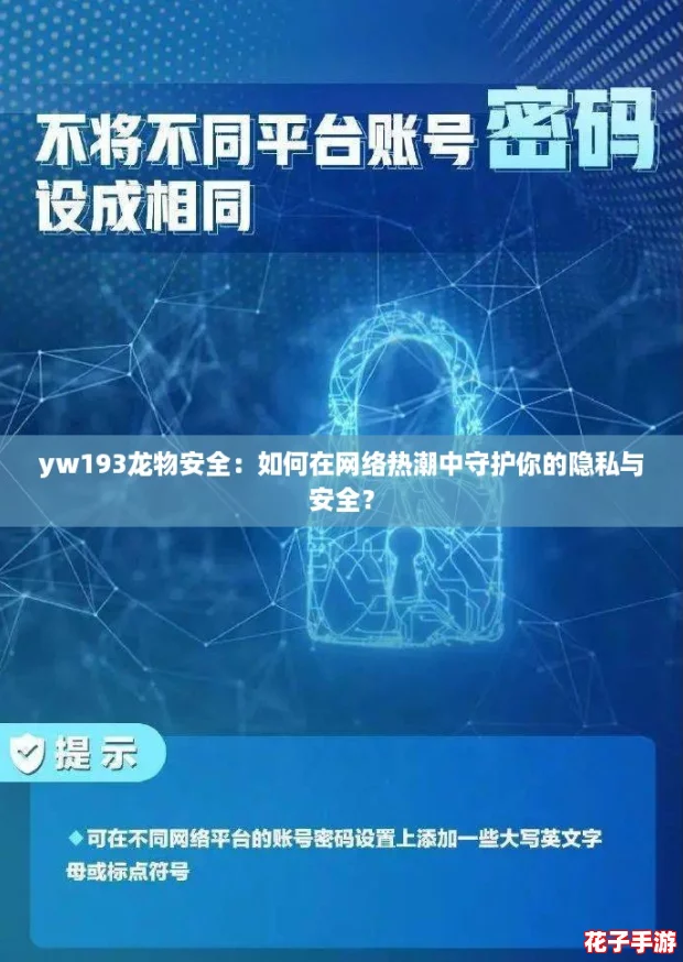 yw193龙物安全：如何在网络热潮中守护你的隐私与安全？