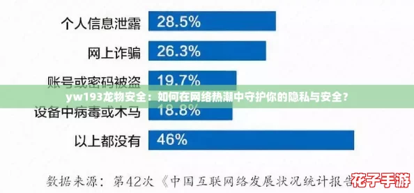 yw193龙物安全：如何在网络热潮中守护你的隐私与安全？