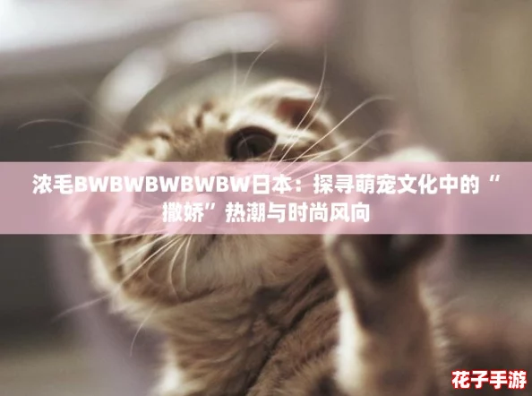 浓毛BWBWBWBWBW日本：探寻萌宠文化中的“撒娇”热潮与时尚风向