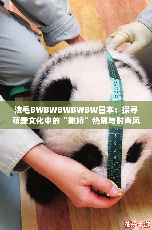 浓毛BWBWBWBWBW日本：探寻萌宠文化中的“撒娇”热潮与时尚风向