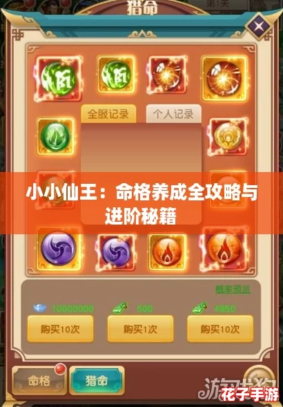 小小仙王：命格养成全攻略与进阶秘籍