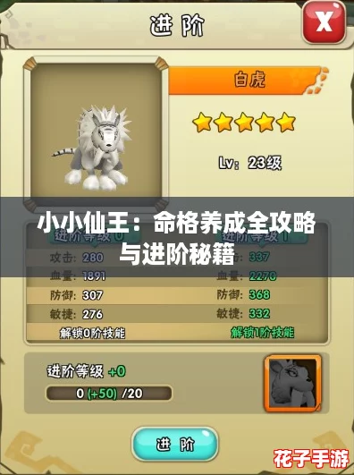 小小仙王:命格养成全攻略与进阶秘籍 小小仙王:命格养成全攻略与进阶秘籍
