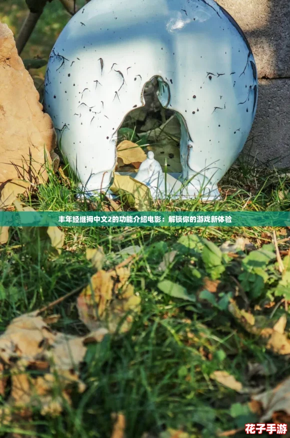 丰年经继拇中文2的功能介绍电影：解锁你的游戏新体验