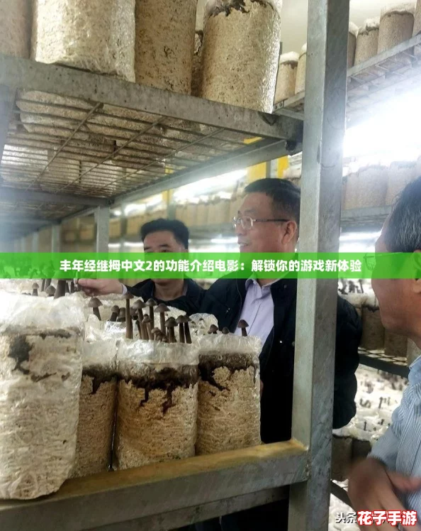 丰年经继拇中文2的功能介绍电影:解锁你的游戏新体验 丰年经继拇中文2的功能介绍电影:解锁你的游戏新体验