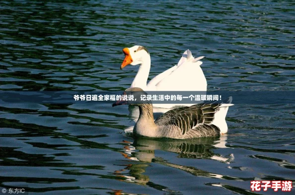 爷爷日遍全家福的说说，记录生活中的每一个温暖瞬间！