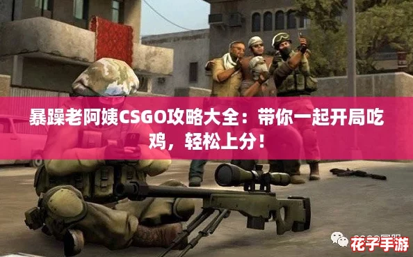 暴躁老阿姨CSGO攻略大全：带你一起开局吃鸡，轻松上分！