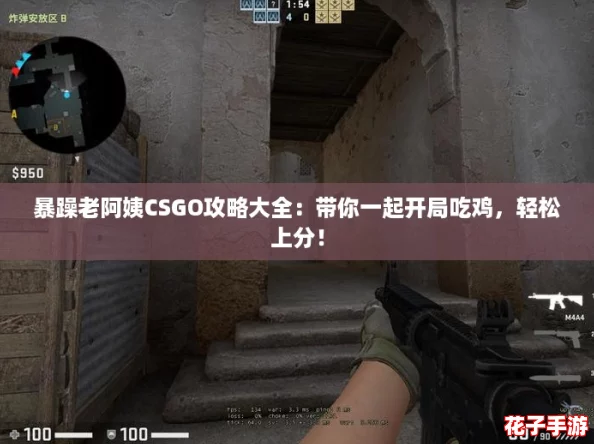 暴躁老阿姨CSGO攻略大全：带你一起开局吃鸡，轻松上分！