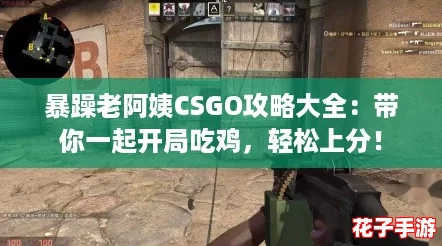 暴躁老阿姨CSGO攻略大全：带你一起开局吃鸡，轻松上分！