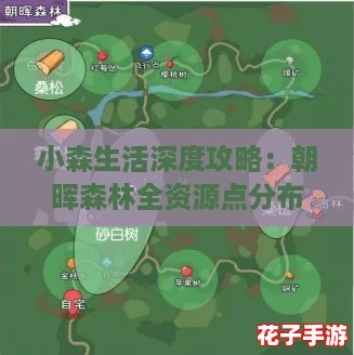 小森生活深度攻略：朝晖森林全资源点分布详图解析