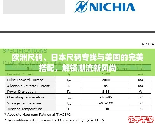 欧洲尺码、日本尺码专线与美国的完美搭配，解锁潮流新风尚