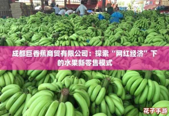 成都巨香蕉商贸有限公司：探索“网红经济”下的水果新零售模式
