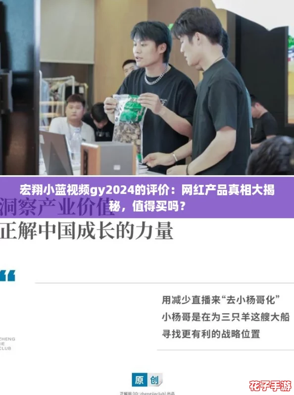 宏翔小蓝视频gy2024的评价：网红产品真相大揭秘，值得买吗？