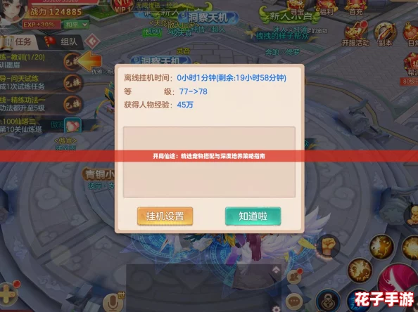 开局仙途：精选宠物搭配与深度培养策略指南