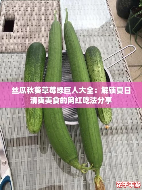 丝瓜秋葵草莓绿巨人大全：解锁夏日清爽美食的网红吃法分享