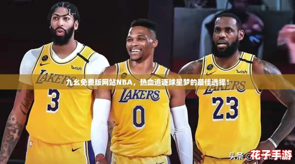 九幺免费版网站NBA，热血追逐球星梦的最佳选择！