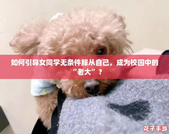 如何引导女同学无条件服从自己，成为校园中的“老大”？