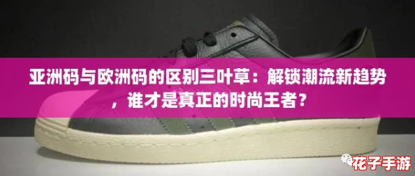 亚洲码与欧洲码的区别三叶草：解锁潮流新趋势，谁才是真正的时尚王者？