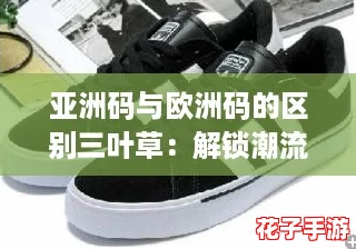 亚洲码与欧洲码的区别三叶草:解锁潮流新趋势,谁才是真正的时尚王者? 亚洲码与欧洲码的区别三叶草:解锁潮流新趋势,谁才是真正的时尚王者?
