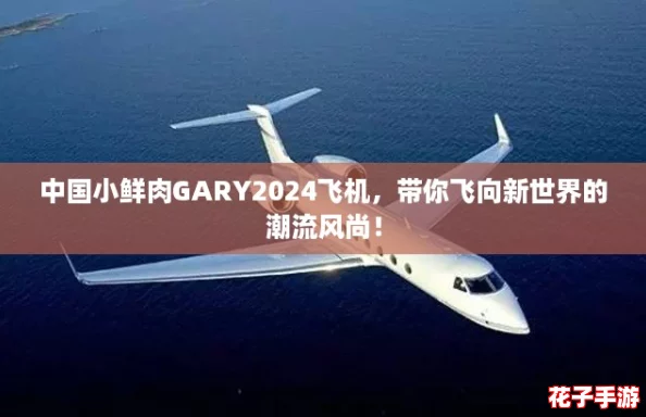 中国小鲜肉GARY2024飞机，带你飞向新世界的潮流风尚！