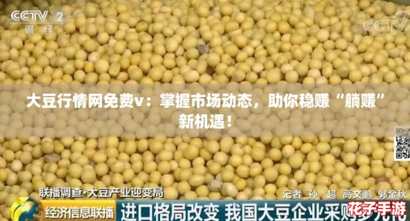 大豆行情网免费v：掌握市场动态，助你稳赚“躺赚”新机遇！