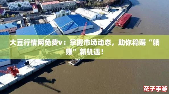 大豆行情网免费v:掌握市场动态,助你稳赚“躺赚”新机遇! 大豆行情网免费v:掌握市场动态,助你稳赚“躺赚”新机遇!