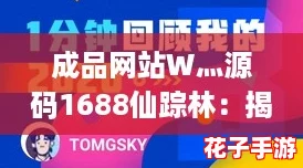 成品网站W灬源码1688仙踪林：揭秘网络热潮中的新兴商业机会