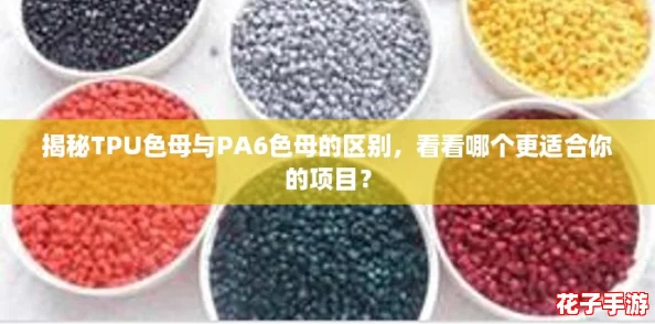 揭秘TPU色母与PA6色母的区别，看看哪个更适合你的项目？