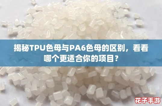 揭秘TPU色母与PA6色母的区别,看看哪个更适合你的项目? 揭秘TPU色母与PA6色母的区别,看看哪个更适合你的项目?