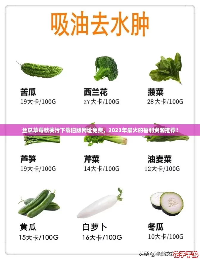 丝瓜草莓秋葵污下载旧版网址免费,2023年最火的福利资源推荐! 丝瓜草莓秋葵污下载旧版网址免费,2023年最火的福利资源推荐!