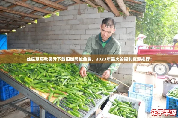 丝瓜草莓秋葵污下载旧版网址免费,2023年最火的福利资源推荐! 丝瓜草莓秋葵污下载旧版网址免费,2023年最火的福利资源推荐!