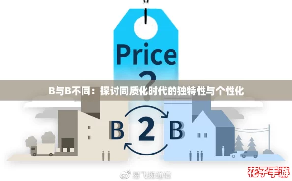 B与B不同：探讨同质化时代的独特性与个性化