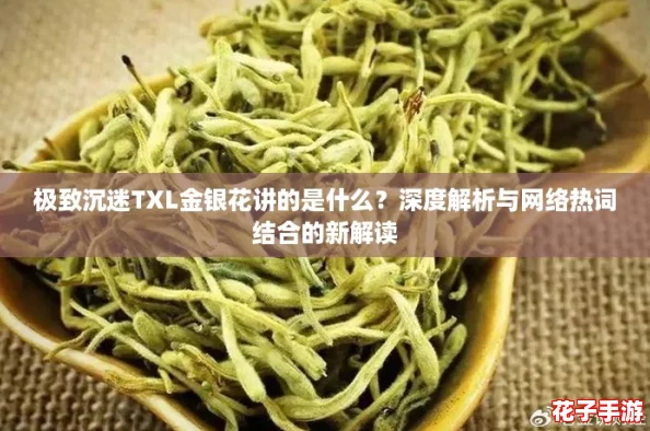 极致沉迷TXL金银花讲的是什么？深度解析与网络热词结合的新解读