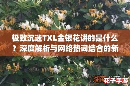 极致沉迷TXL金银花讲的是什么?深度解析与网络热词结合的新解读 极致沉迷TXL金银花讲的是什么?深度解析与网络热词结合的新解读