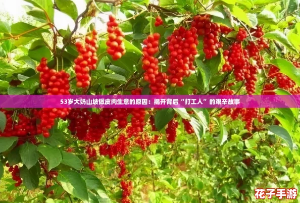 53岁大妈山坡做皮肉生意的原因：揭开背后“打工人”的艰辛故事