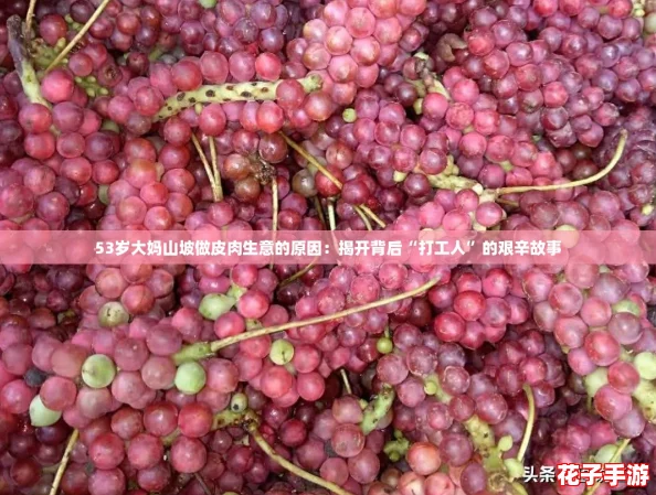 53岁大妈山坡做皮肉生意的原因：揭开背后“打工人”的艰辛故事