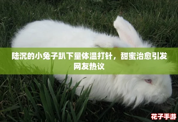 陆沉的小兔子趴下量体温打针,甜蜜治愈引发网友热议 陆沉的小兔子趴下量体温打针,甜蜜治愈引发网友热议