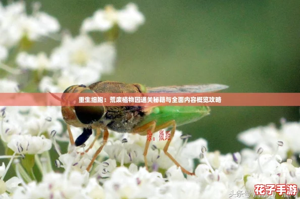 重生细胞：荒废植物园通关秘籍与全面内容概览攻略