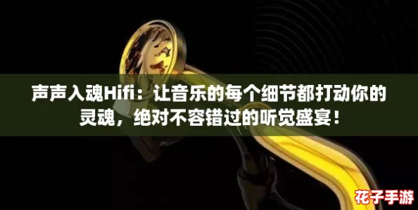 声声入魂Hifi：让音乐的每个细节都打动你的灵魂，绝对不容错过的听觉盛宴！