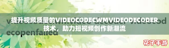 提升视频质量的VIDEOCODECWMVIDEODECODER技术，助力短视频创作新潮流